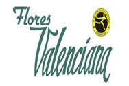 Flores Valenciana